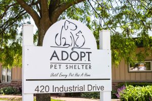 ADOPT Pet Shelter sign