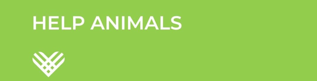 help animals giving tuesday (2) help animals giving tuesday (2)
