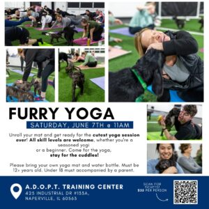 Puppy Yoga Flyer