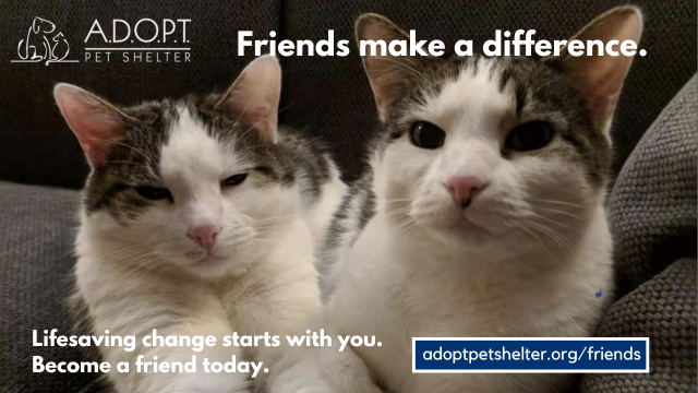 Copy of Membership FB Cover (851 x 315 px) (640 x 360 px)