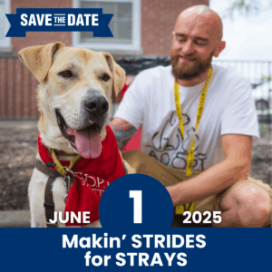 Save Date Strides