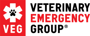 VEG logo