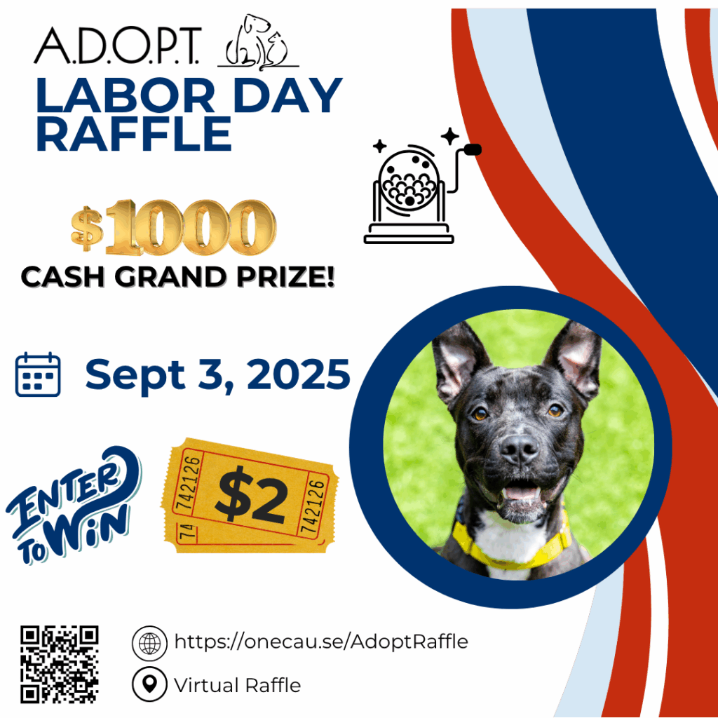 Copy of Copy of Copy of Copy of Labor Raffle Flyer 2025 USA