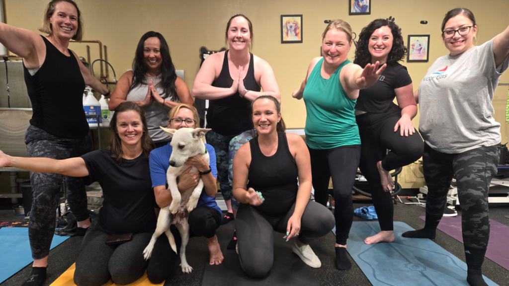 Untitled design - 2026-01-27T132801.470