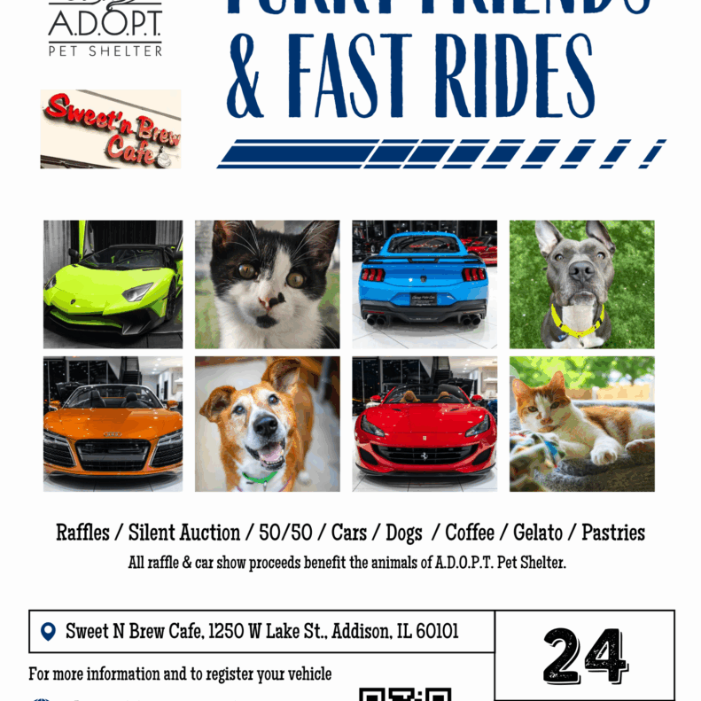 Car Show Flyer 2025