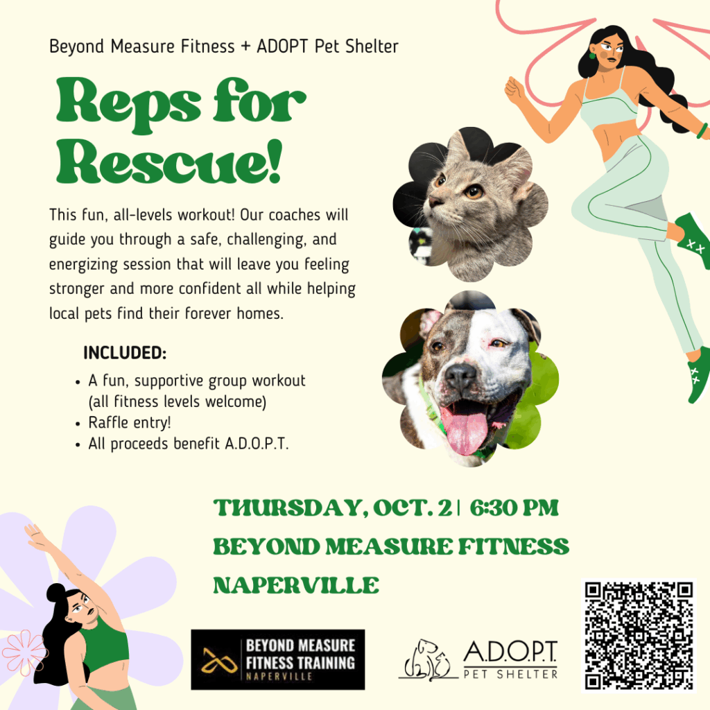 Copy of Green Playful Illustrative Gym Class Promotion Flyer (1) Copy of Green Playful Illustrative Gym Class Promotion Flyer (1)