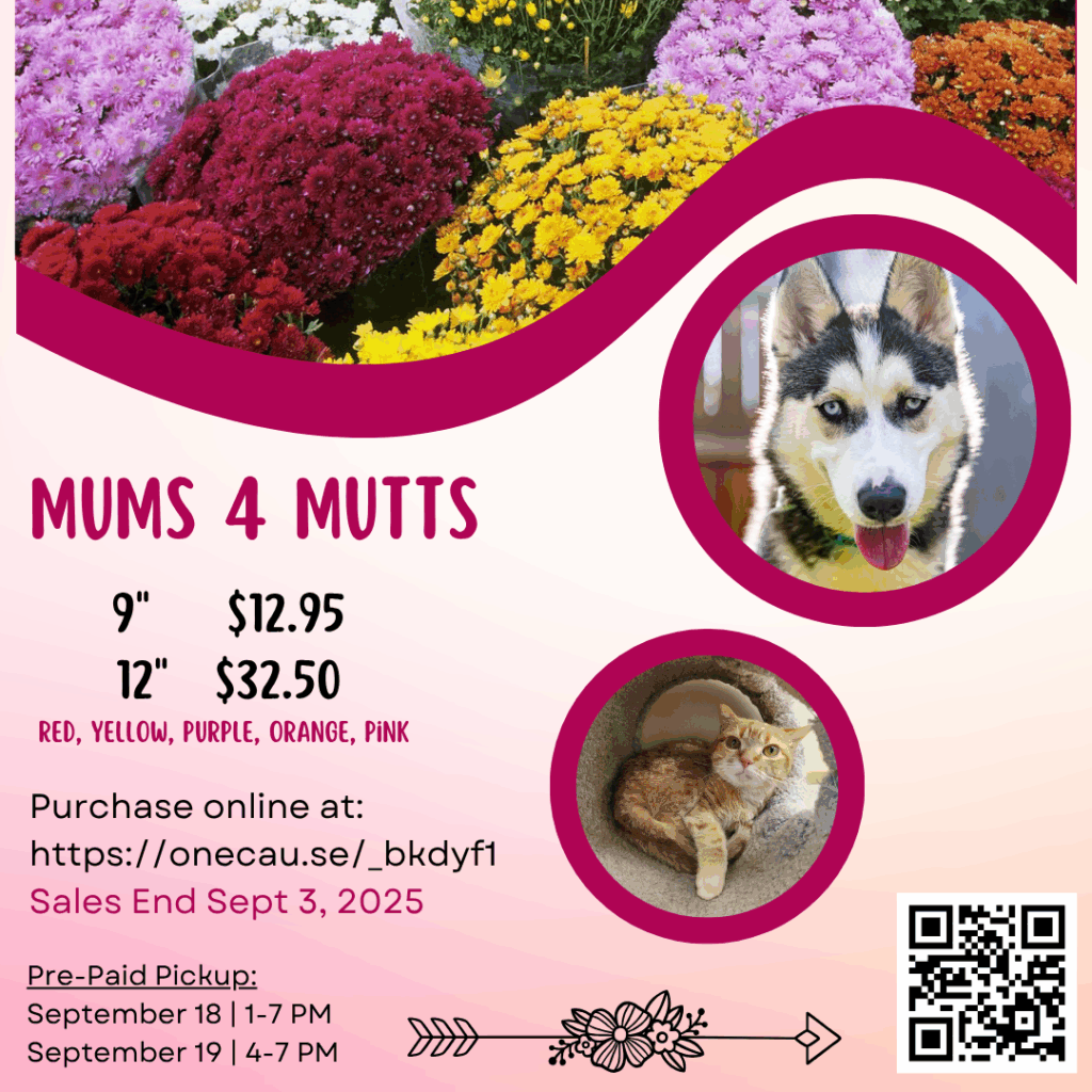 Mums for Mutts Insta (3) Mums for Mutts Insta (3)