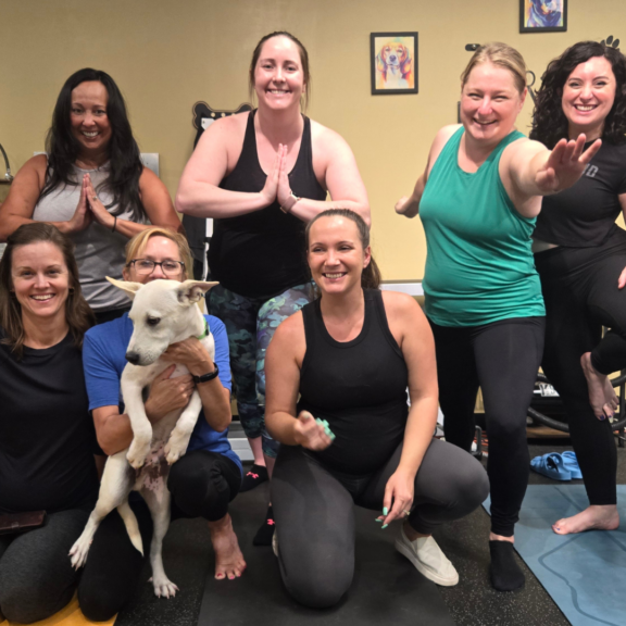 Untitled design - 2026-01-27T132801.470