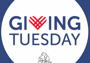 givingtuesday