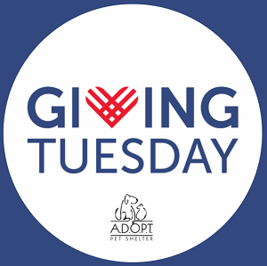 givingtuesday