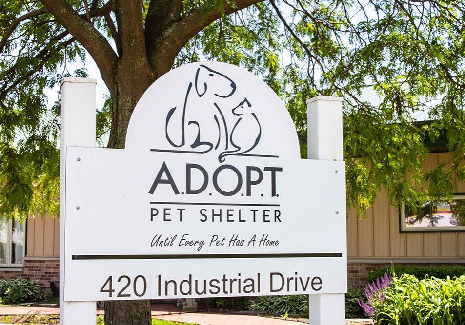 ADOPT Pet Shelter sign