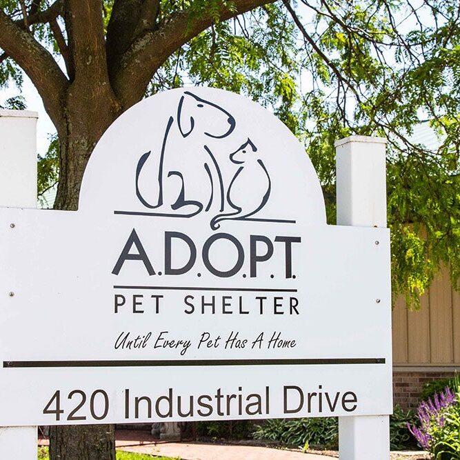 ADOPT Pet Shelter sign